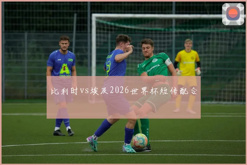 比利时vs埃及2026世界杯短传配合