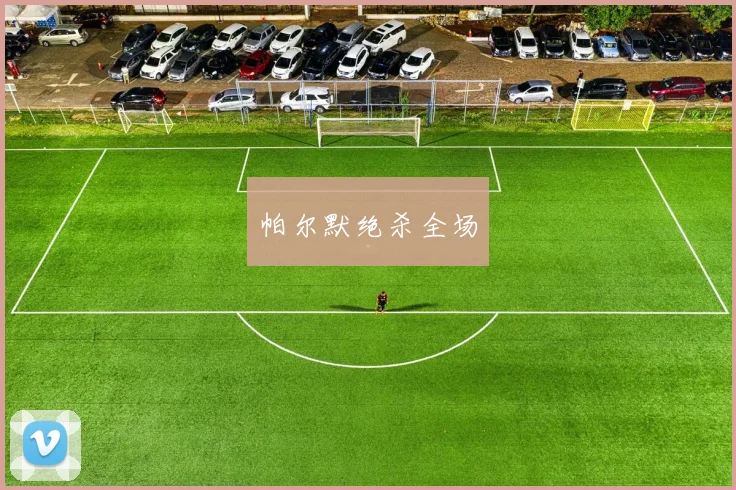 帕尔默绝杀全场
