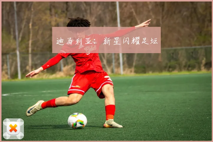 迪马利亚：新星闪耀足坛