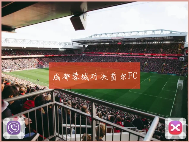 成都蓉城对决首尔FC