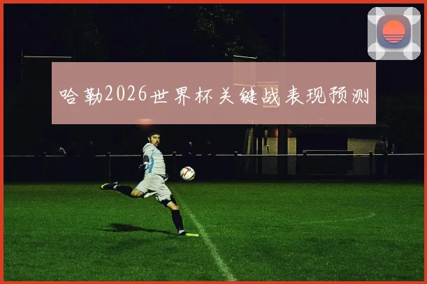 哈勒2026世界杯关键战表现预测